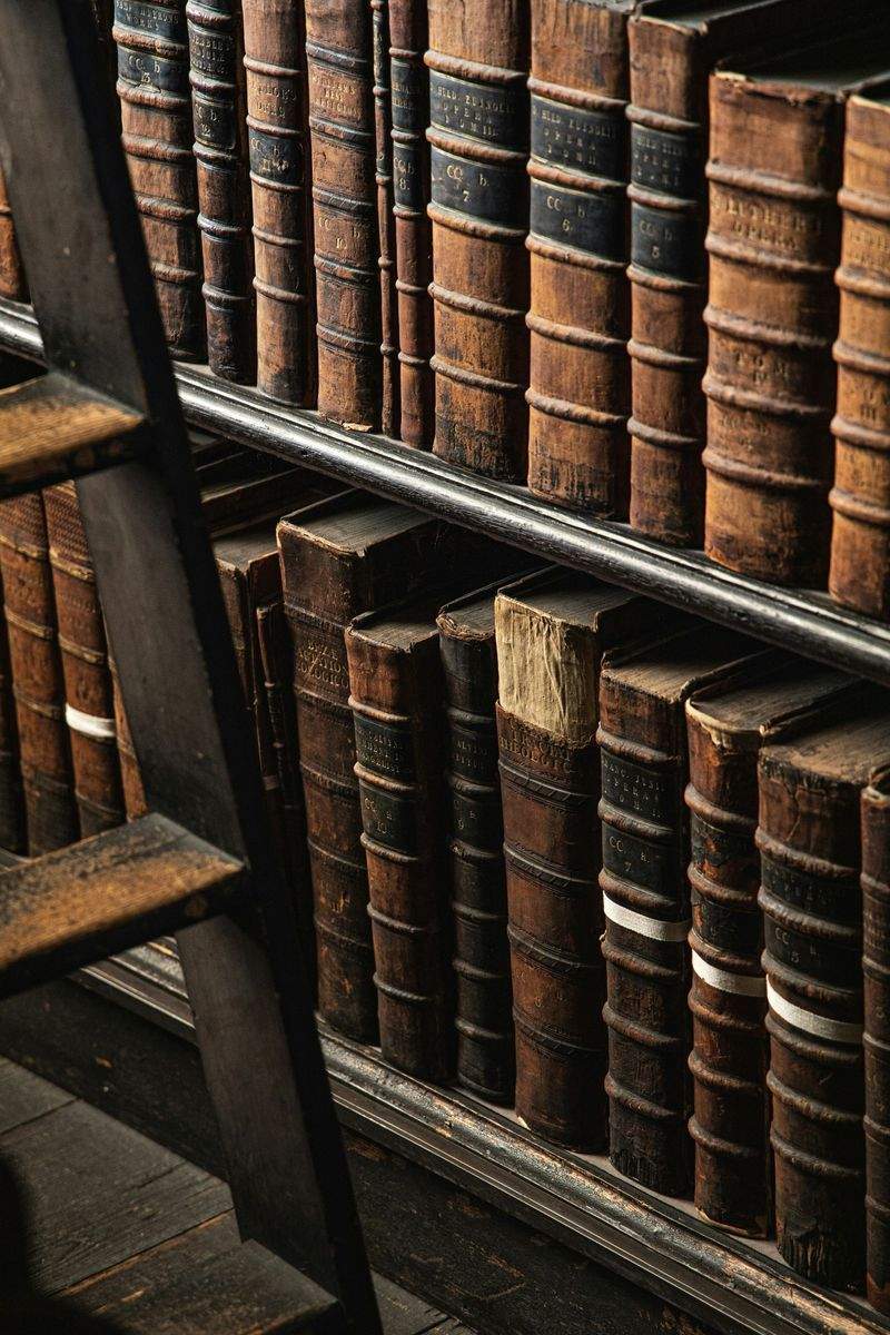 BücherWelt GmbH - Image 11